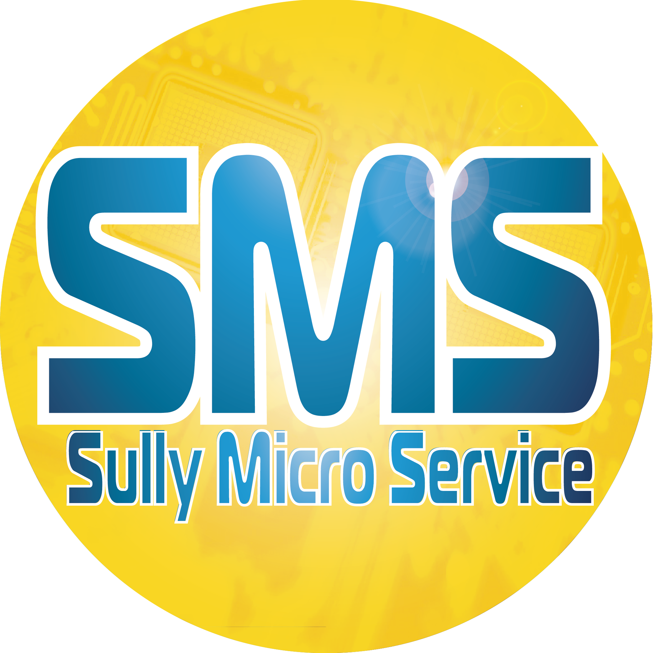 SULLY MICRO SERVICE