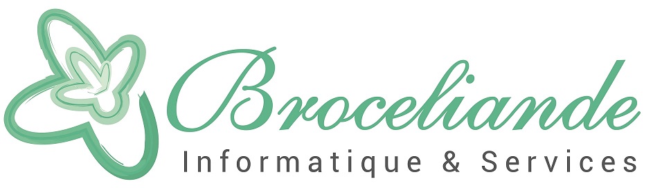 BROCELIANDE INFORMATIQUE ET SERVICES