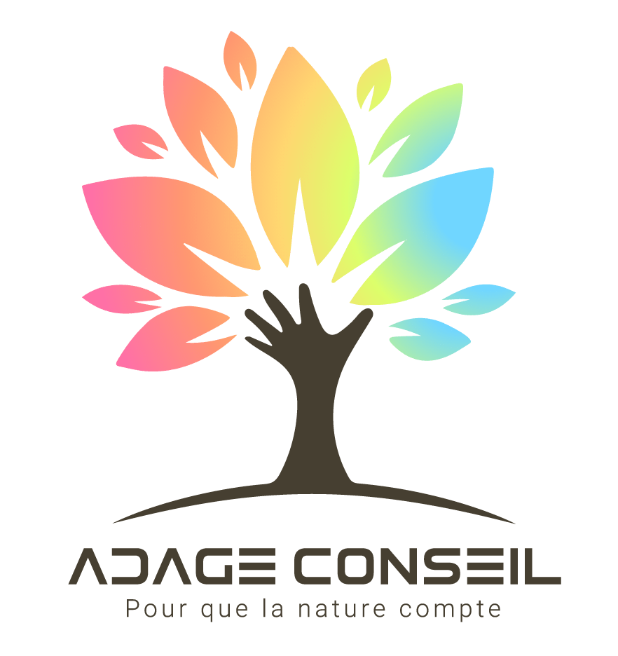 MUNICH AUDIT EXPERTISE ET CONSEIL